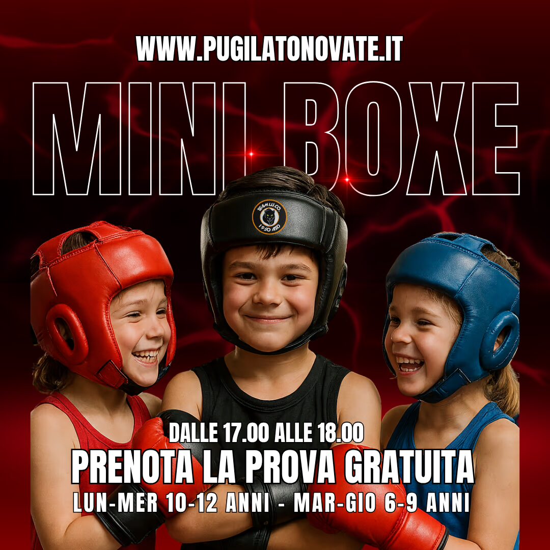 mini-boxe-novate milanese