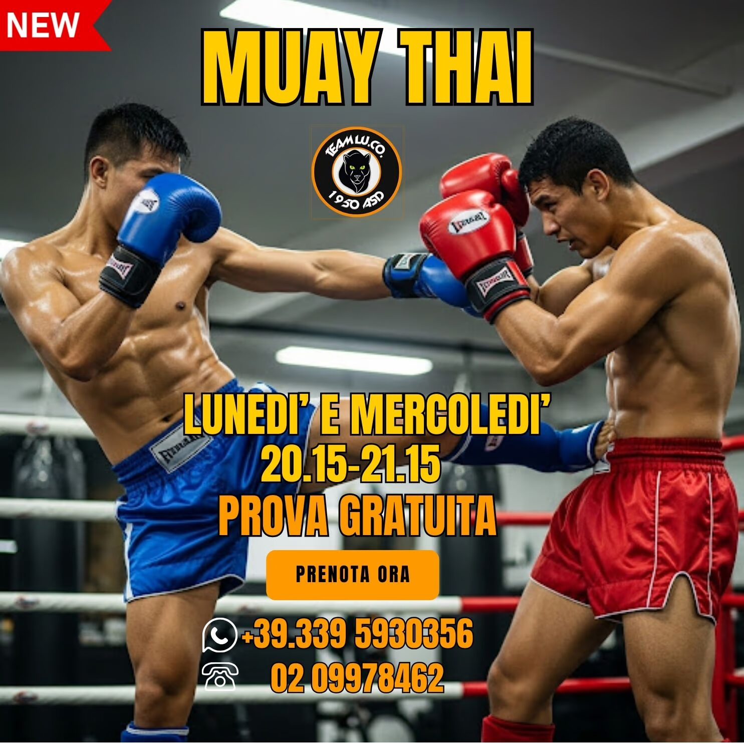 muay thai novate milanese